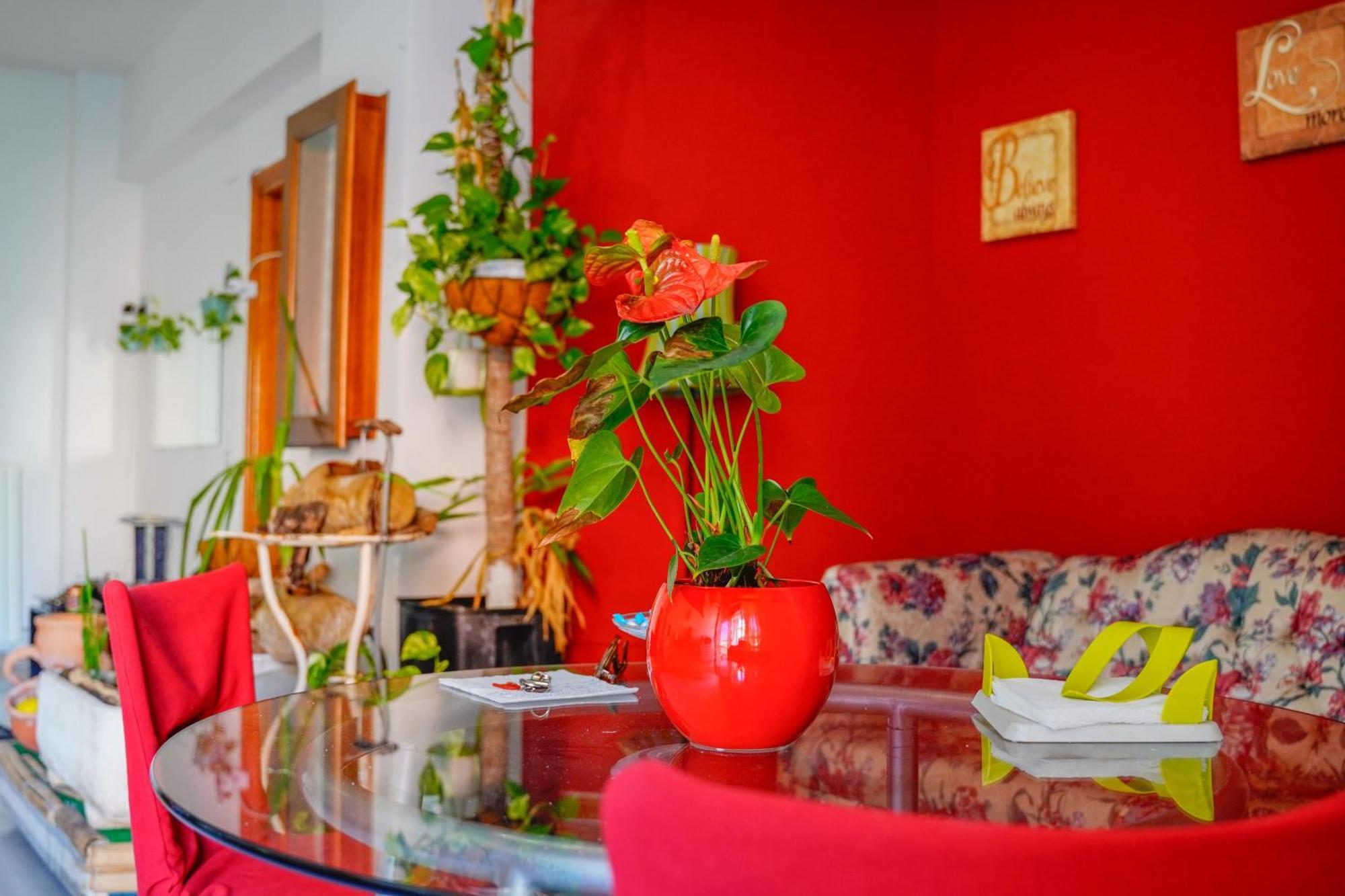 Bed & Breakfast La Terrazza Hotel ลาตินา ภายนอก รูปภาพ
